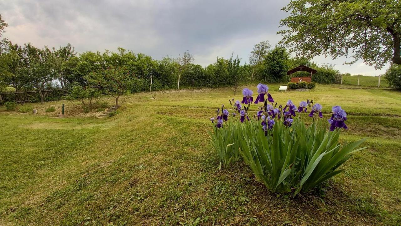 Vadászles Vendégház Bukkszentmarton Extérieur photo
