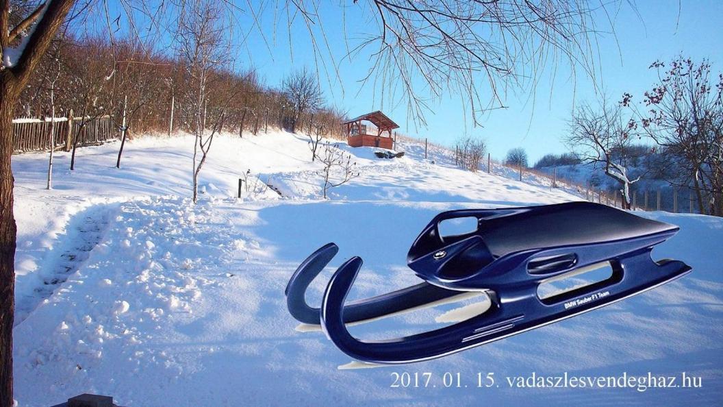 Vadászles Vendégház Bukkszentmarton Extérieur photo